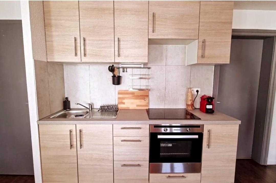 Apartment Le 31 Pfastatt